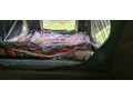2017-skamper-kampers-dingo-52m-17ft-small-2
