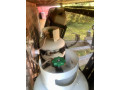 bluewater-darling-off-road-camper-with-extras-small-14