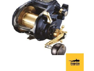 Shimano BeastMaster Fishing Reel