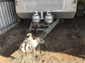 kedron-atv-fully-equipped-off-road-small-5