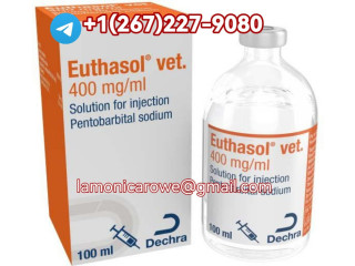 +15673430615.Buy Sodium Pentobarbital In Melbourne, Sydney Australia And Auckland New Zealand