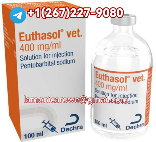 15673430615buy-sodium-pentobarbital-in-melbourne-sydney-australia-and-auckland-new-zealand-big-0