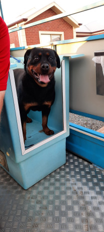 blue-sky-semi-off-road-206-fairhaven-2020-caravan-big-0