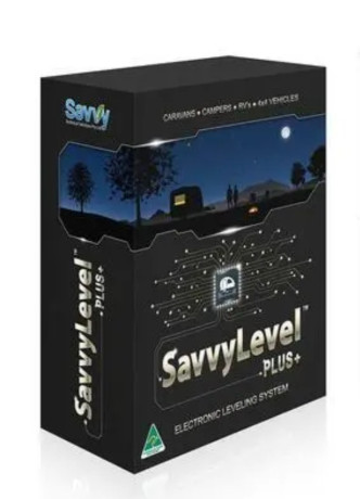 savvy-level-big-0