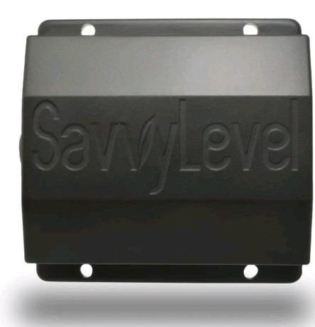 savvy-level-big-1